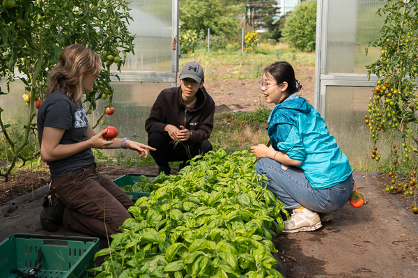 KPU students learning at KPU Farm, working with plants