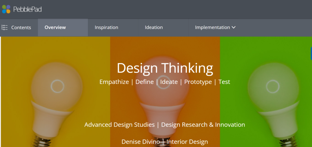 screen shot of Denise Divino's eportfolio for IDSN