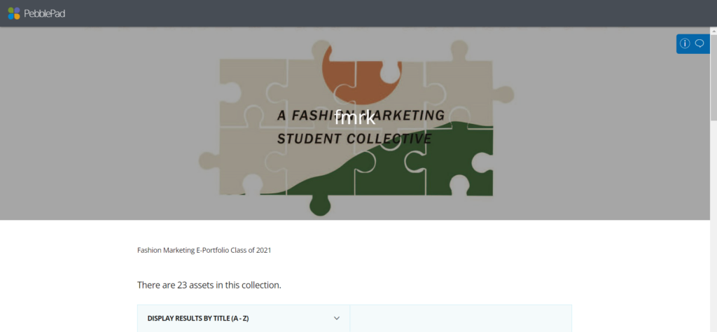 screenshot of eportfolio collection of 2021 graduates of the 2021 Fashion Marketing Program - WSD