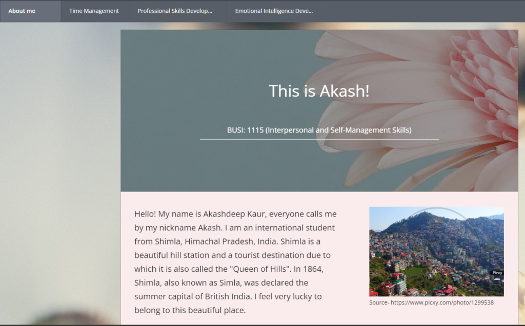 screenshot of Akashdeep Kaur's eportfolio for BUSI 1115