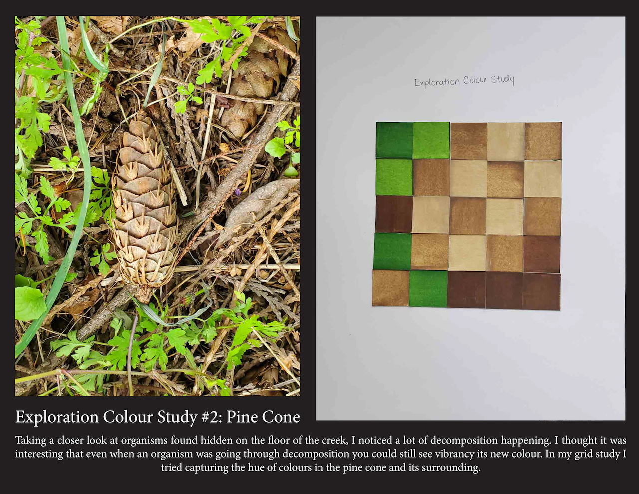 Ecology 