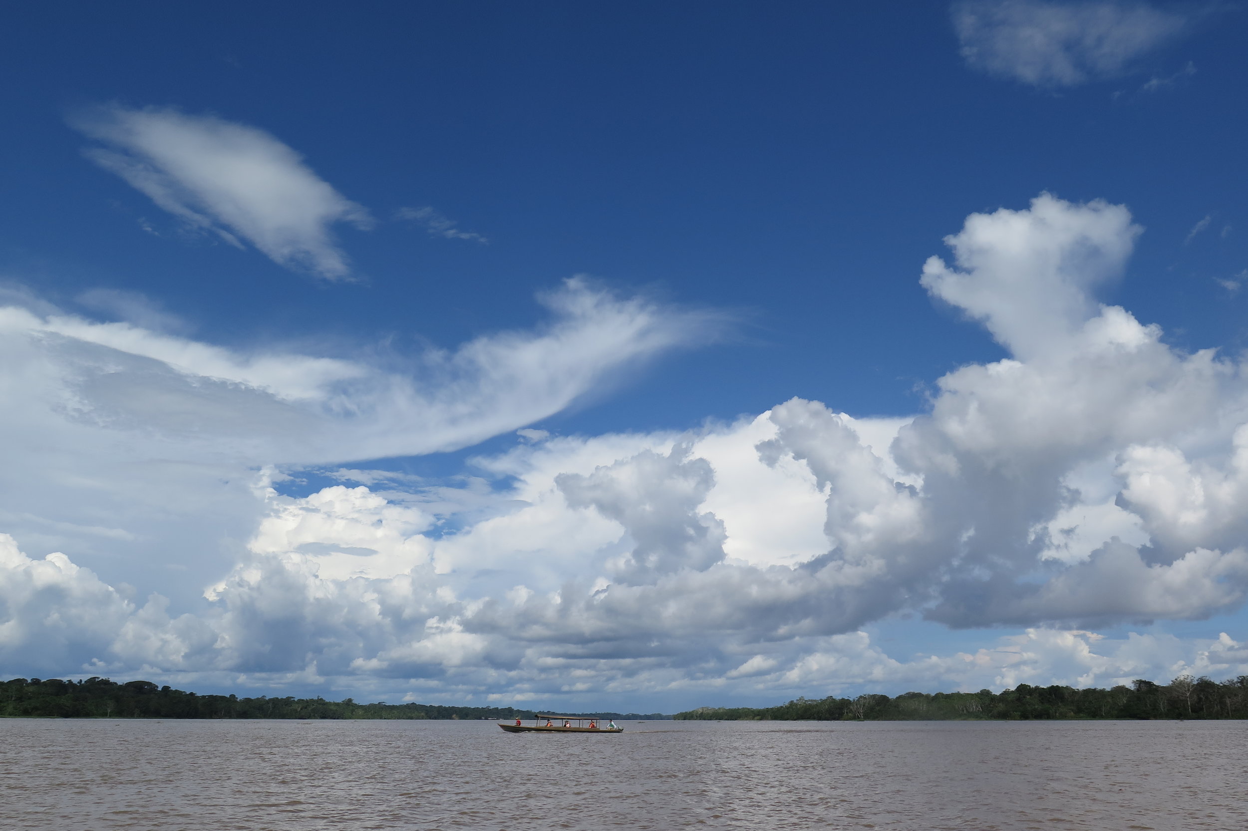 Amazon Interdisciplinary Field School 