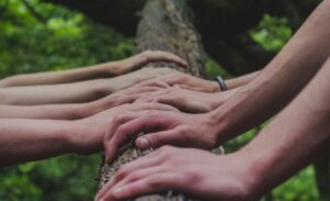 Applying for OER Grants