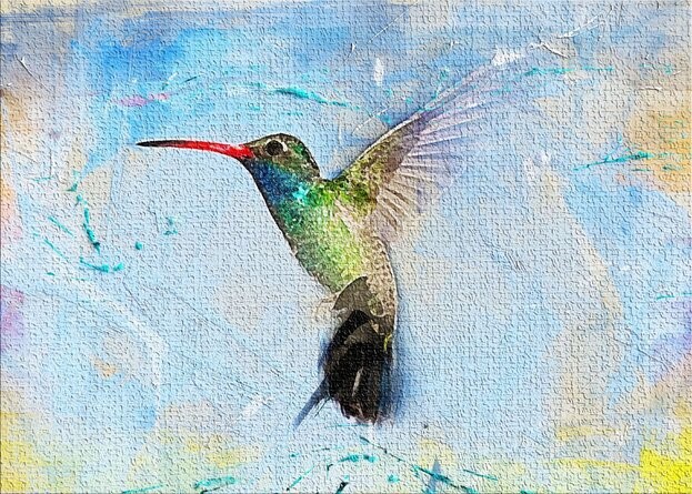 Where Hummingbirds Take Flight: Restorative Justice & the Post-Secondary Classroom