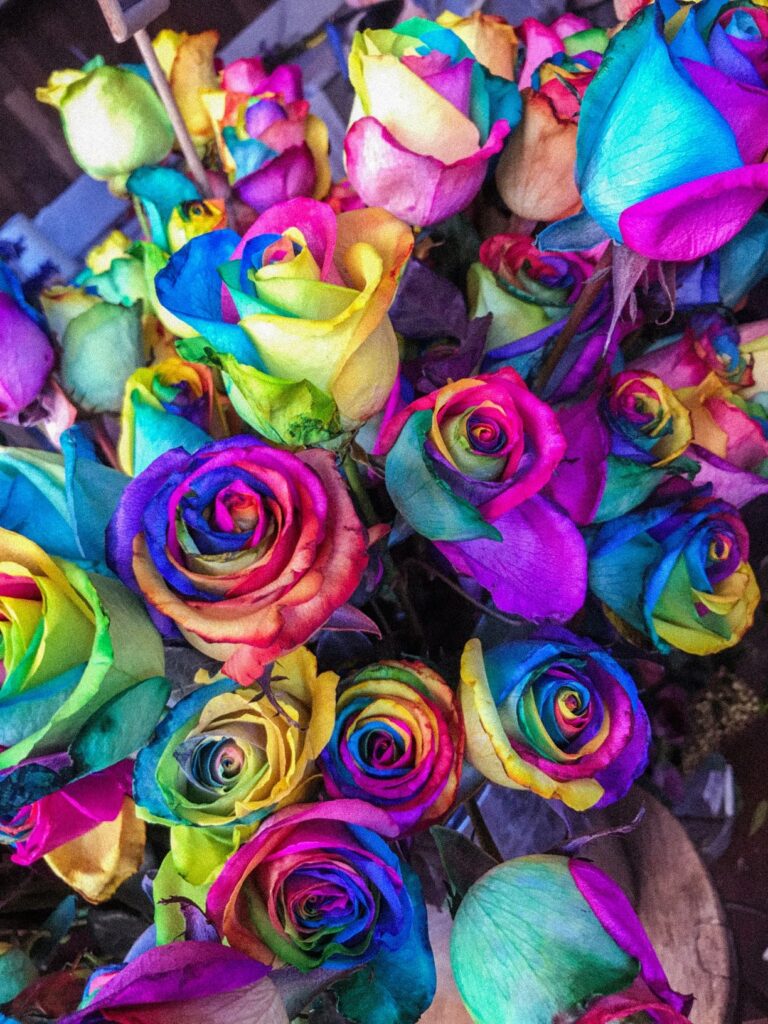 A Rose by Any Other Name: Competency & Mastery-Based Learning and Assessments